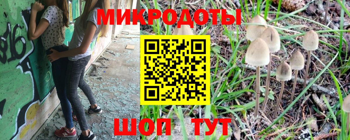 Псилоцибиновые грибы Psilocybe Карталы