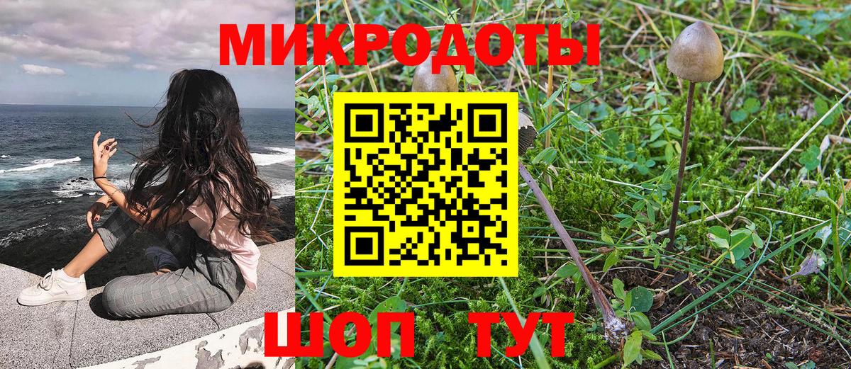 купить наркотик  Галлюциногенные грибы GOLDEN TEACHER  Вход с VPN  Карталы  Галлюциногенные грибы прущие грибы 